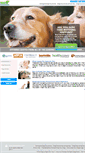 Mobile Screenshot of dog-insurance.com